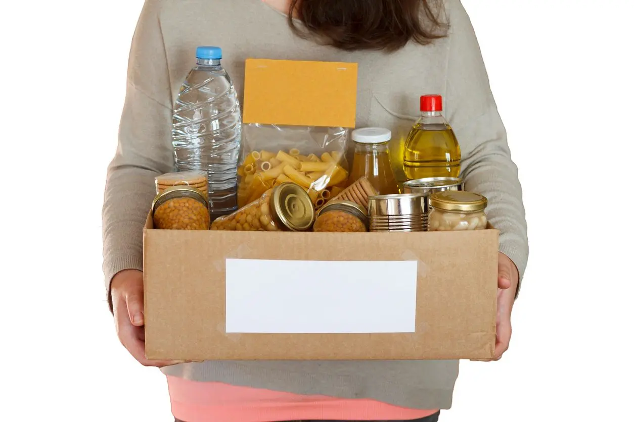Volunteer holding food in a donation cardboard box, isolated in a white background