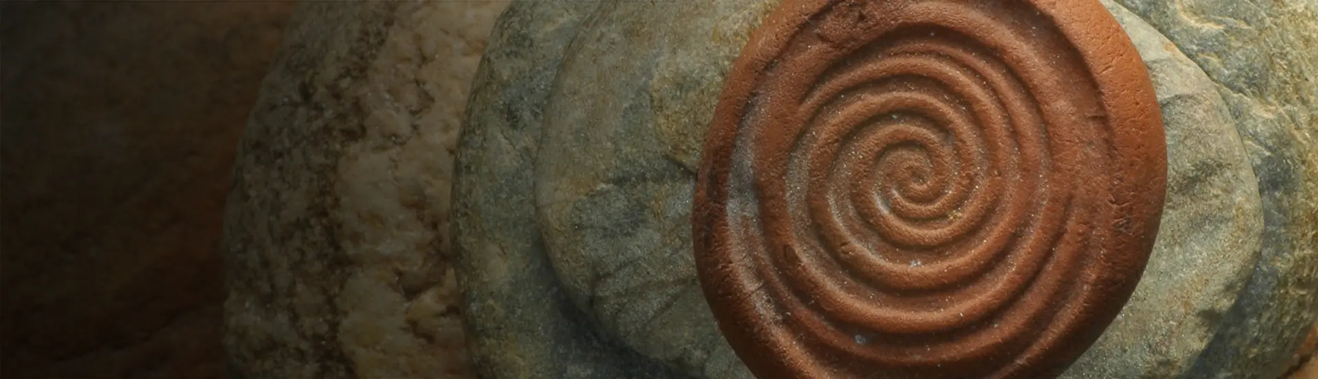 A close up of some rocks with a brown circle on top